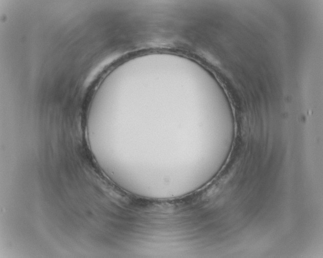 X0000074971214200609291929