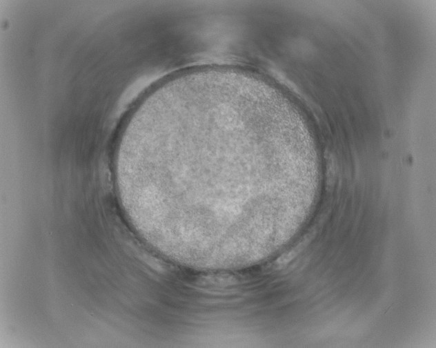 X0000074971215200609291929