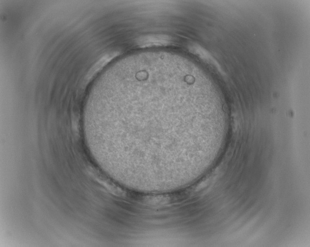 X0000074971217200609291929