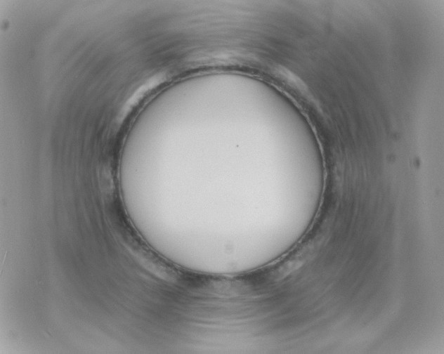 X0000074971218200609291929