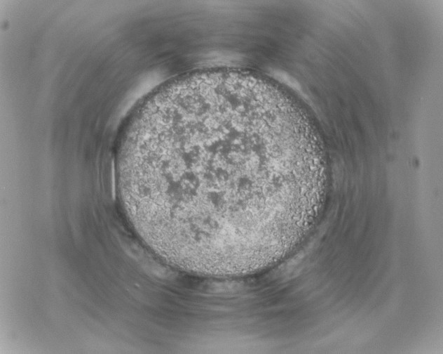 X0000074971219200609291929