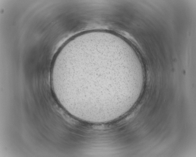 X0000074971220200609291930