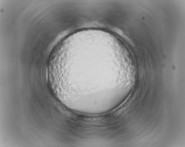 X0000074971221200609291930