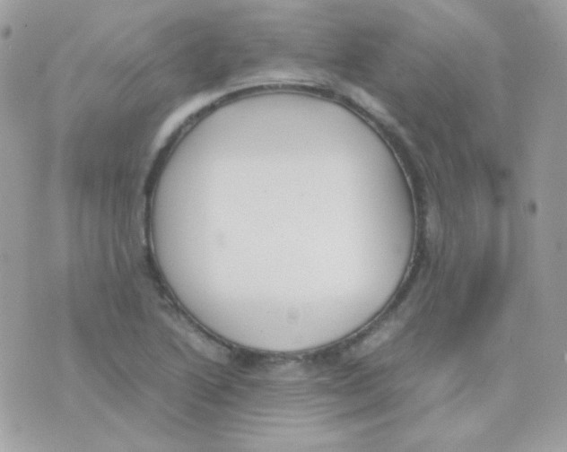 X0000074971222200609291930