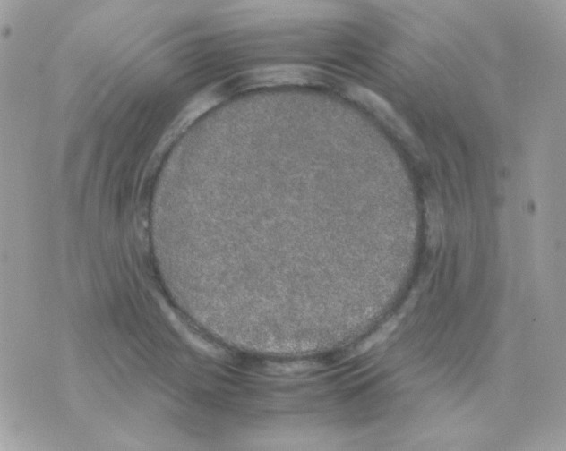 X0000074971225200609291930