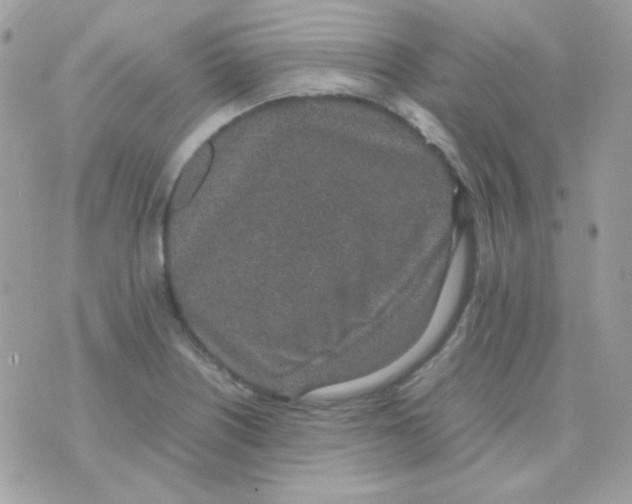 X0000074971226200609291930