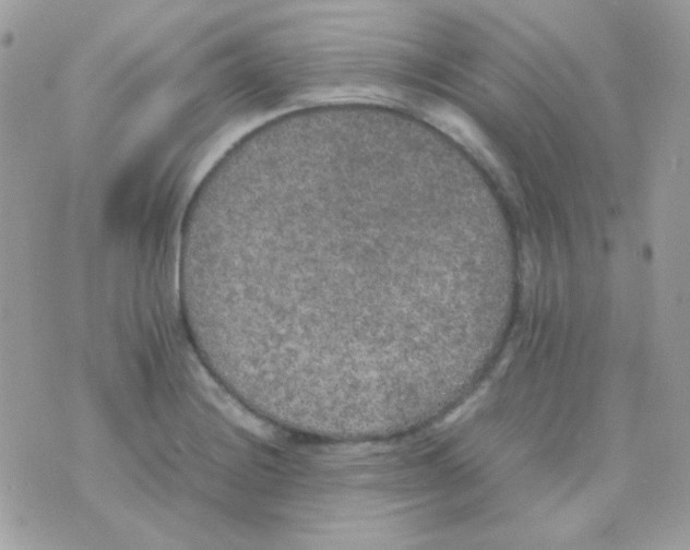 X0000074971228200609291930