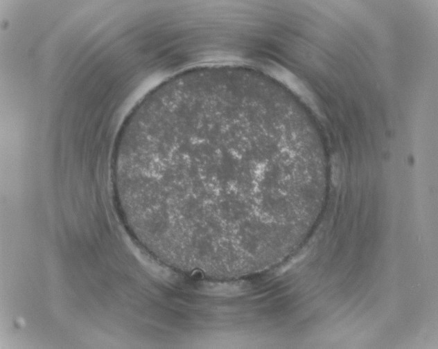 X0000074971229200609291930