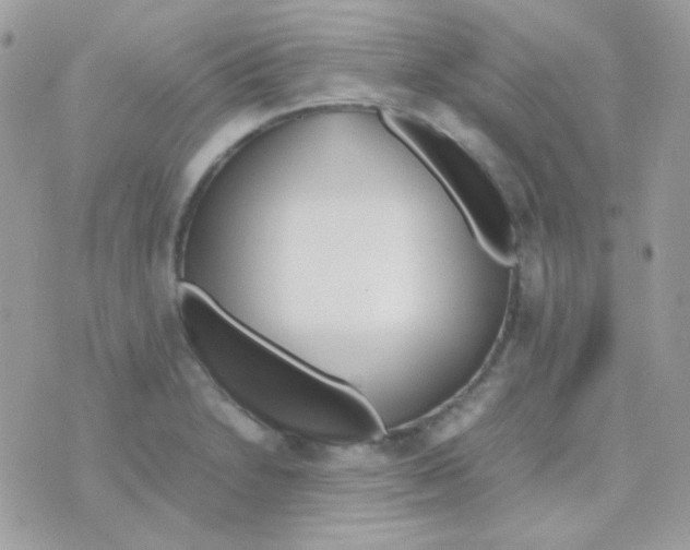 X0000074971230200609291930