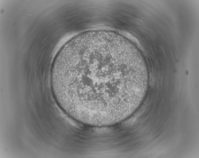 X0000074971231200609291930