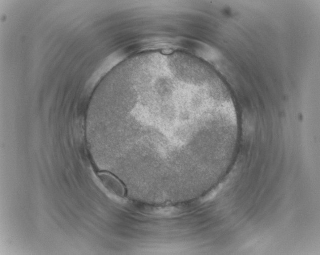 X0000074971233200609291930