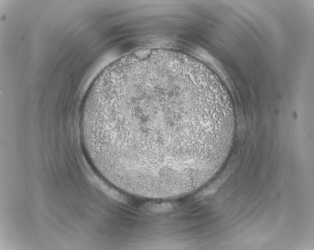 X0000074971235200609291930