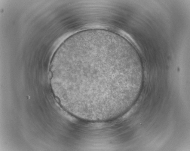 X0000074971236200609291930