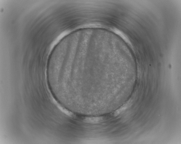 X0000074971237200609291930