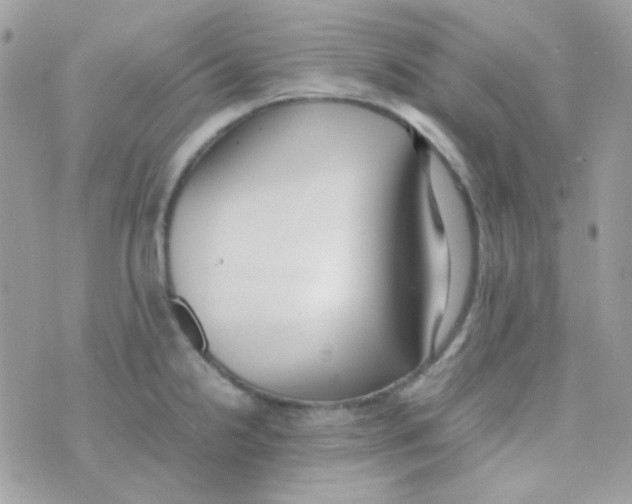 X0000074971238200609291930