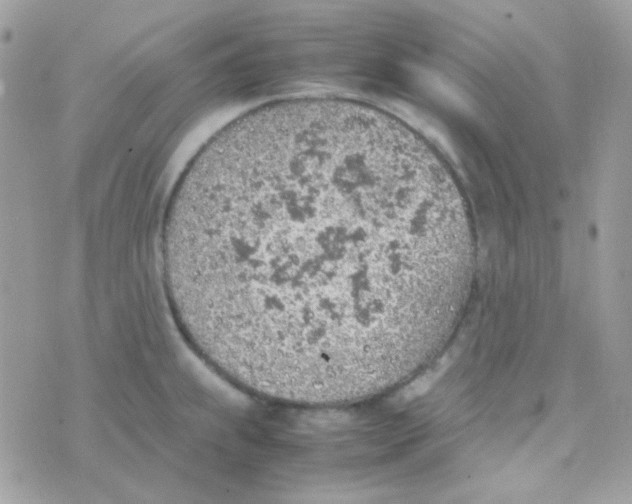 X0000074971239200609291930