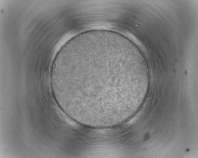 X0000074971240200609291930