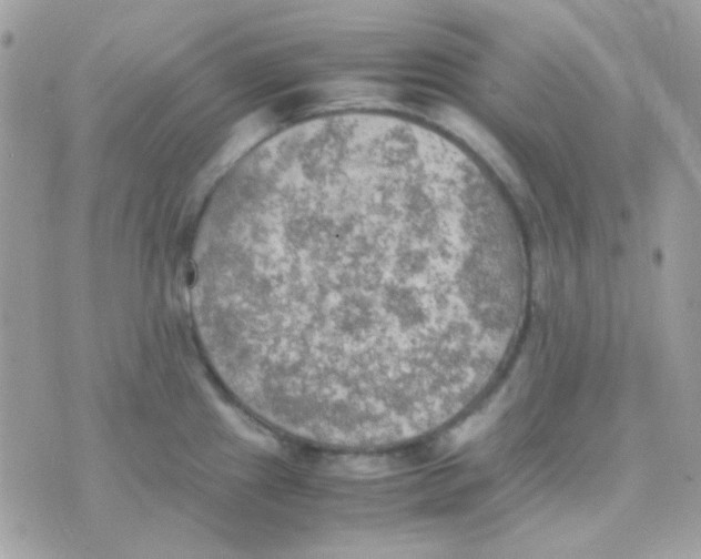 X0000074971241200609291930