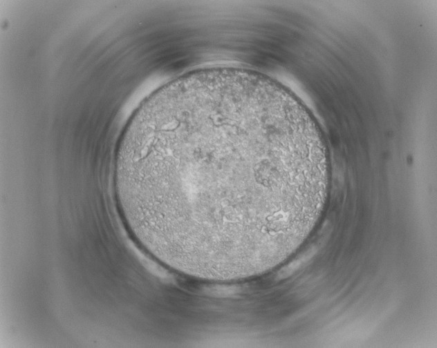 X0000074971245200609291930