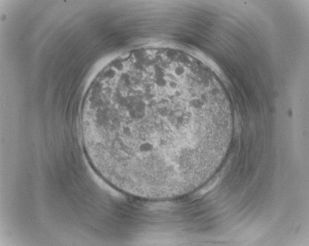 X0000074971247200609291930