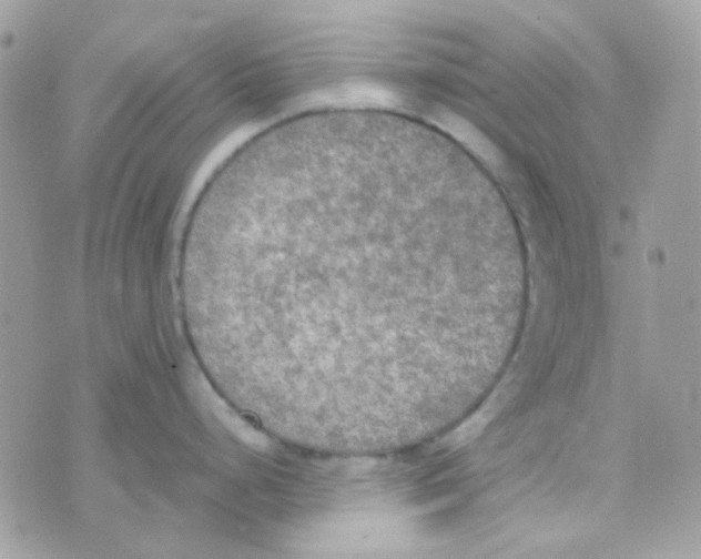 X0000074971248200609291930