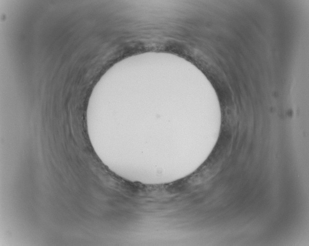 X0000074971249200609291929