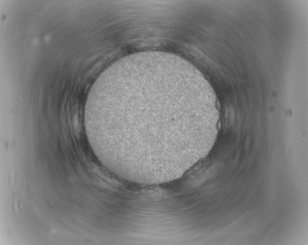 X0000074971250200609291929