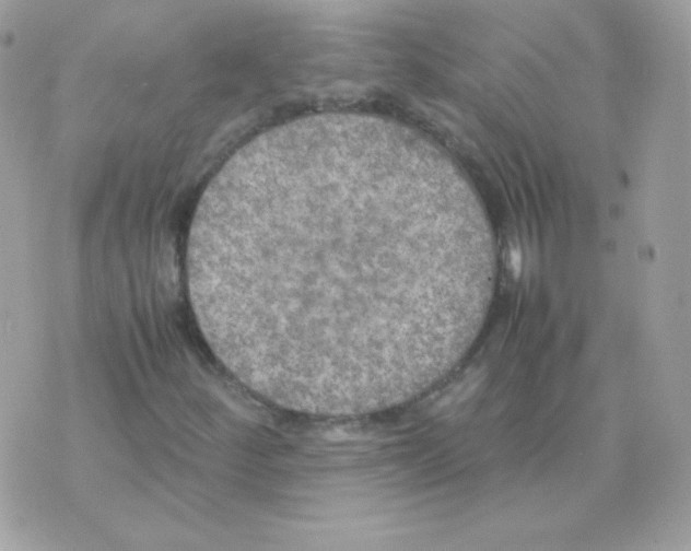 X0000074971252200609291929