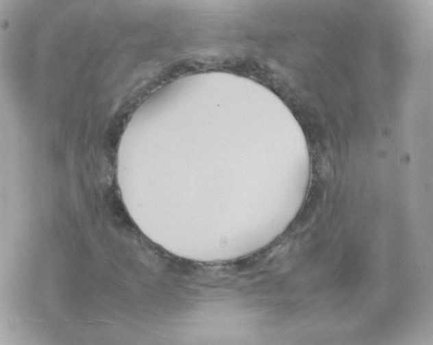 X0000074971253200609291929