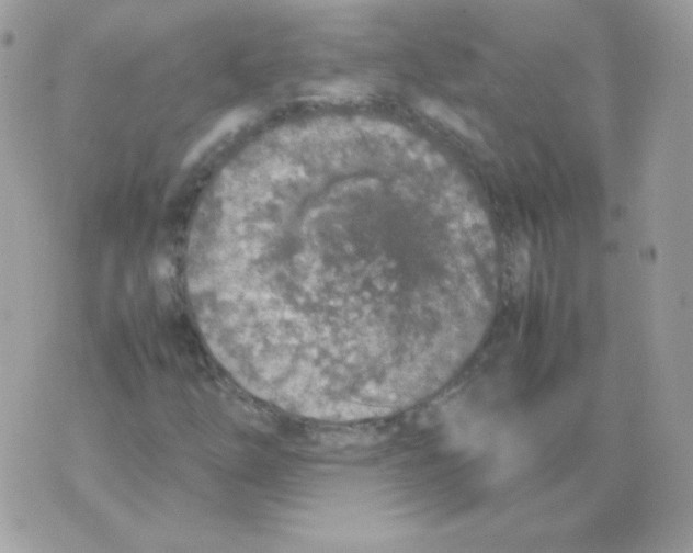 X0000074971254200609291929