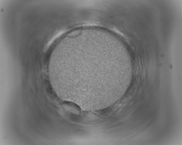 X0000074971255200609291929