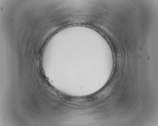 X0000074971257200609291929