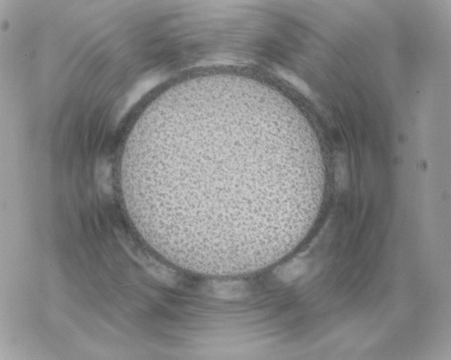 X0000074971258200609291929