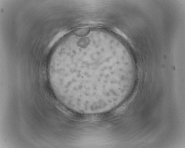 X0000074971259200609291929