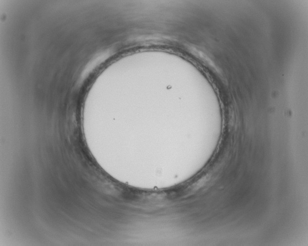 X0000074971261200609291929