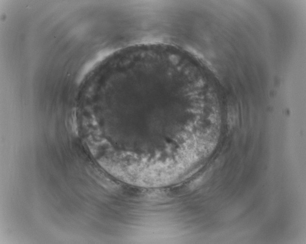 X0000074971262200609291929