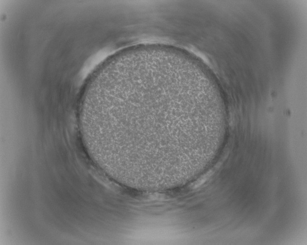 X0000074971263200609291929