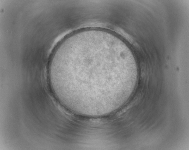 X0000074971264200609291929