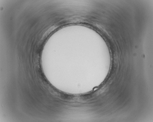 X0000074971265200609291929