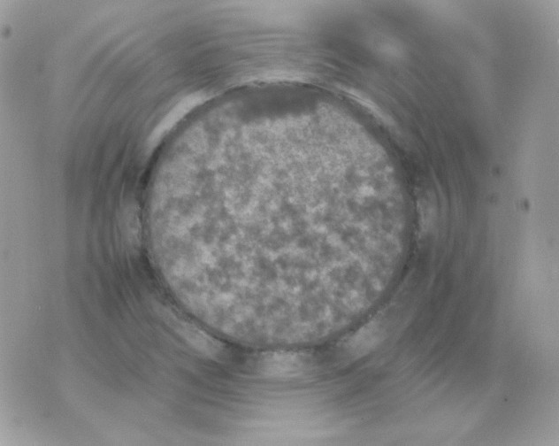 X0000074971266200609291929