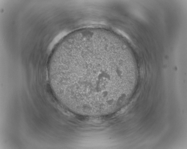 X0000074971267200609291929