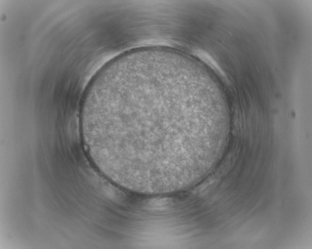 X0000074971268200609291929