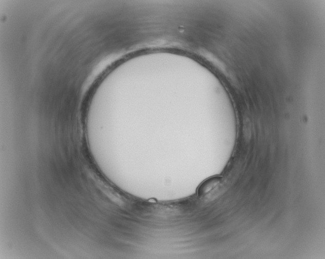 X0000074971270200609291929