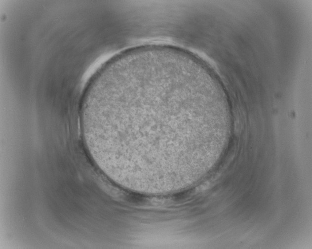 X0000074971271200609291929