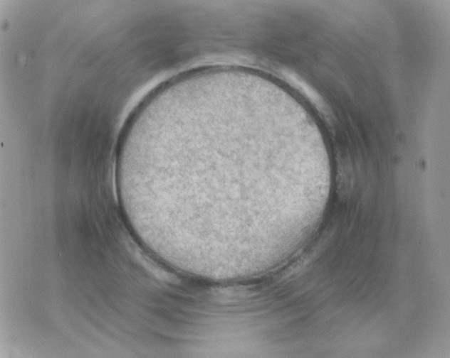 X0000074971272200609291929