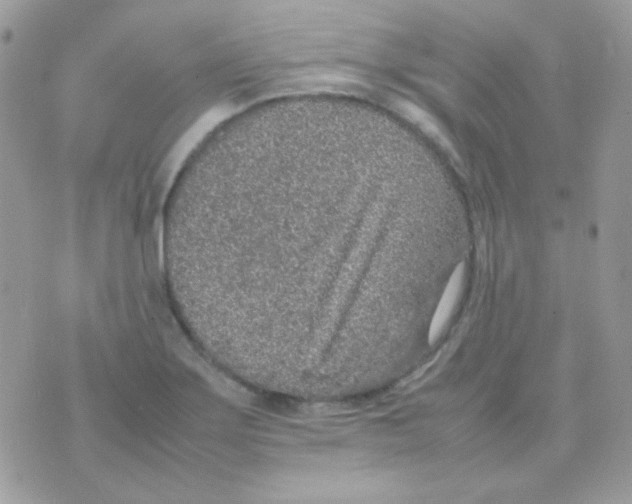 X0000074971275200609291929