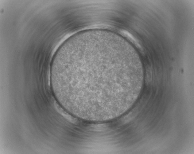 X0000074971276200609291929