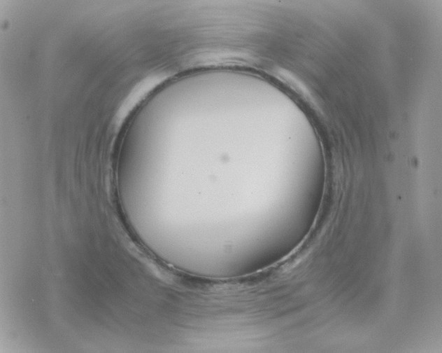 X0000074971277200609291929