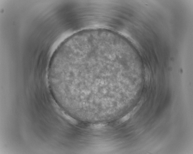 X0000074971278200609291929