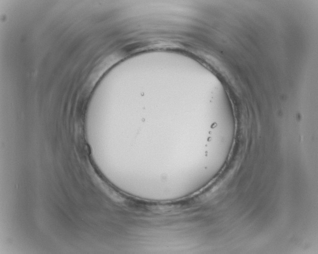 X0000074971281200609291929